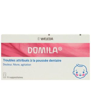 Domila Suppositoires Boîte de 6